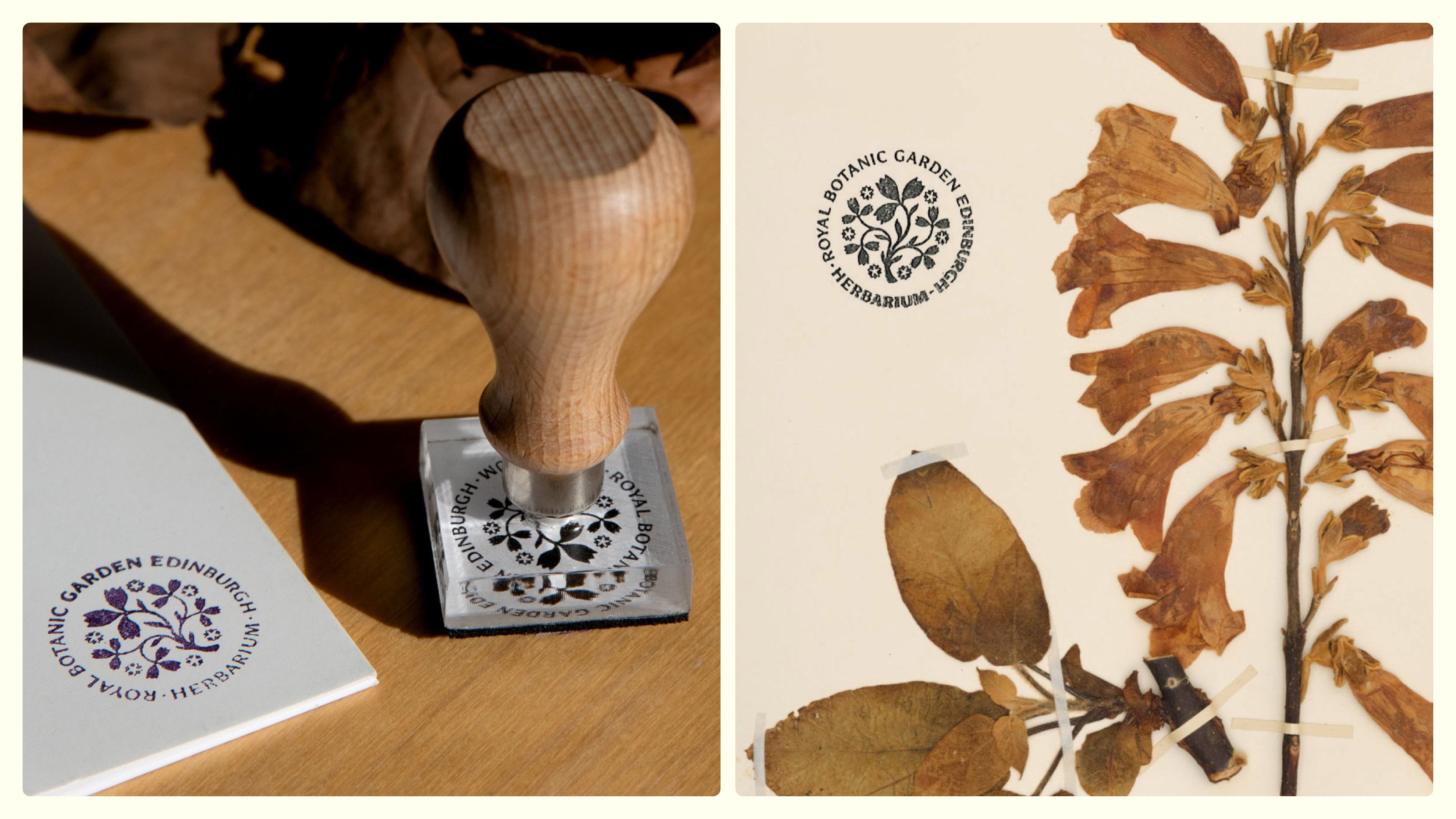 Royal Botanic Garden of Edinburgh branding