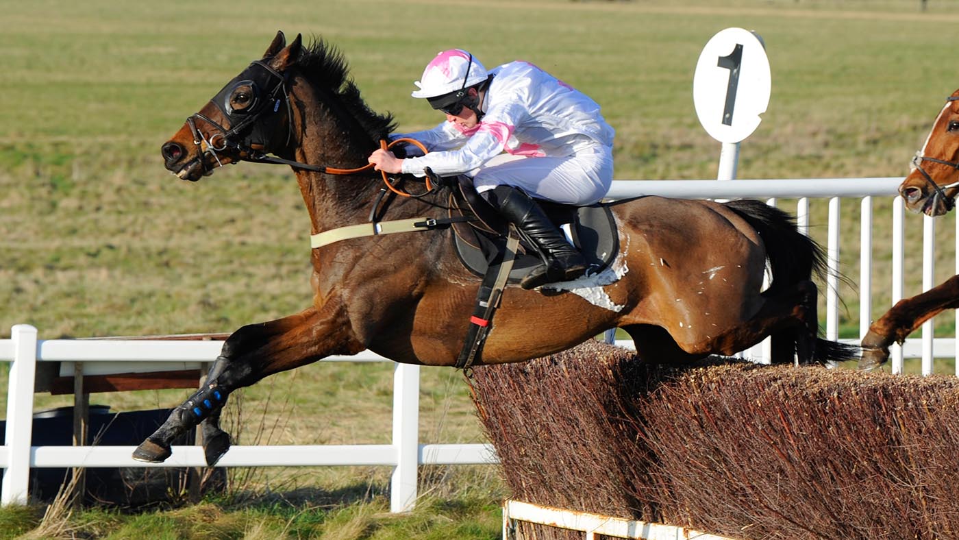 Captain Buck's, Freddie Gordon (1st) Conditions Novice Riders