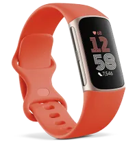 £110/$99, fitbit.com