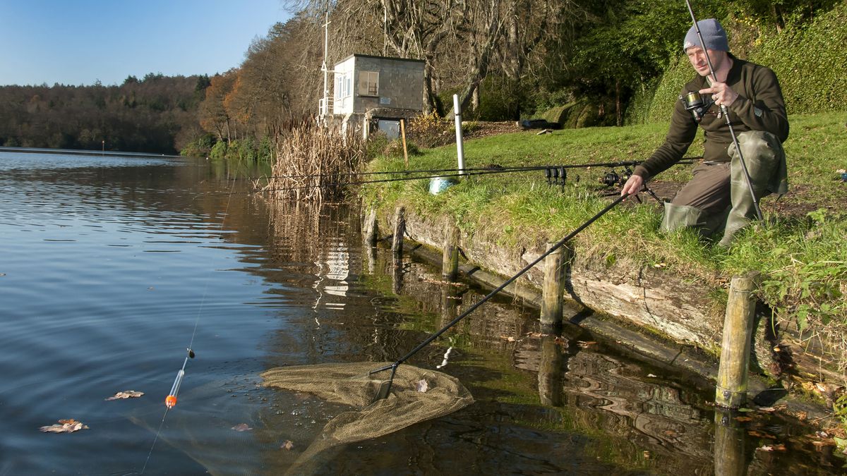 How to catch carp in winter tips for carp fishing in winter Advnture