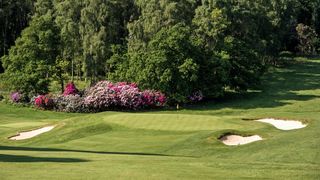 Ashridge Golf Club - Hole 9