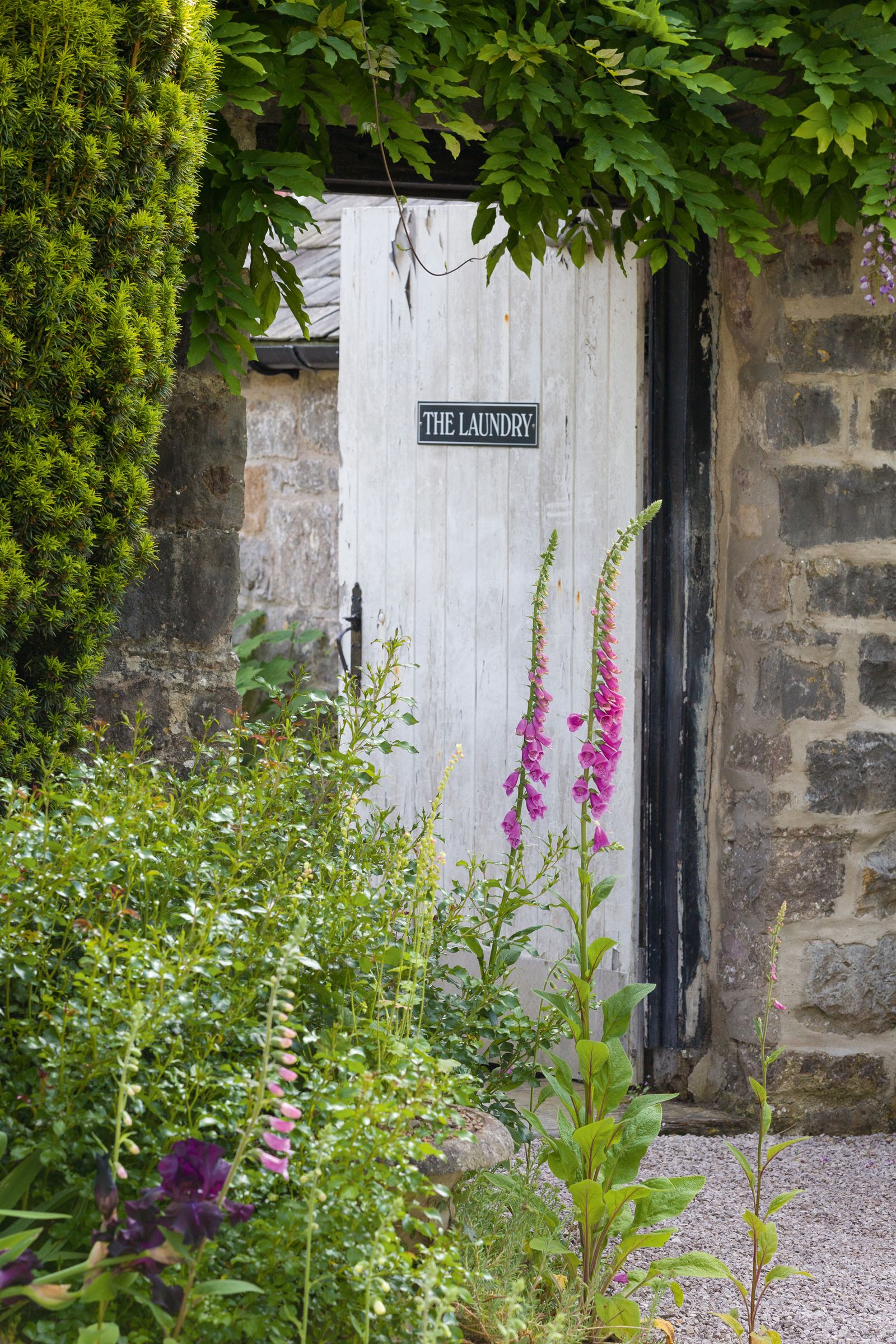 Tour this walled garden – filled with cottage garden plants | Homes ...