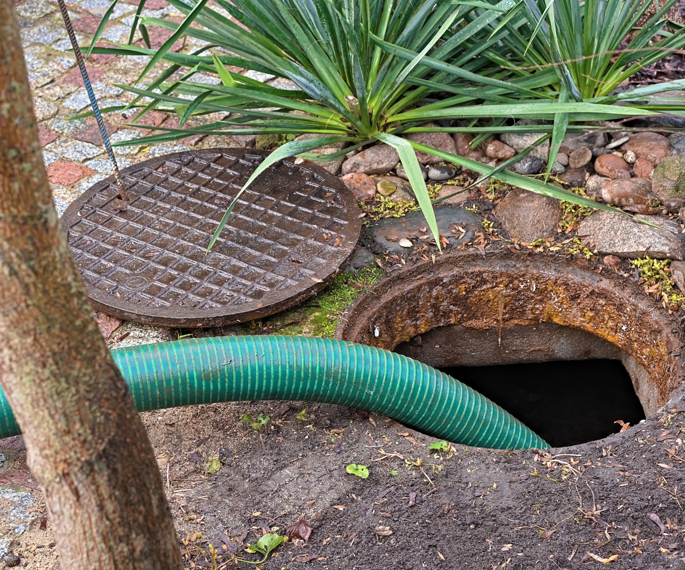 Septic tank being pumped out with green tube