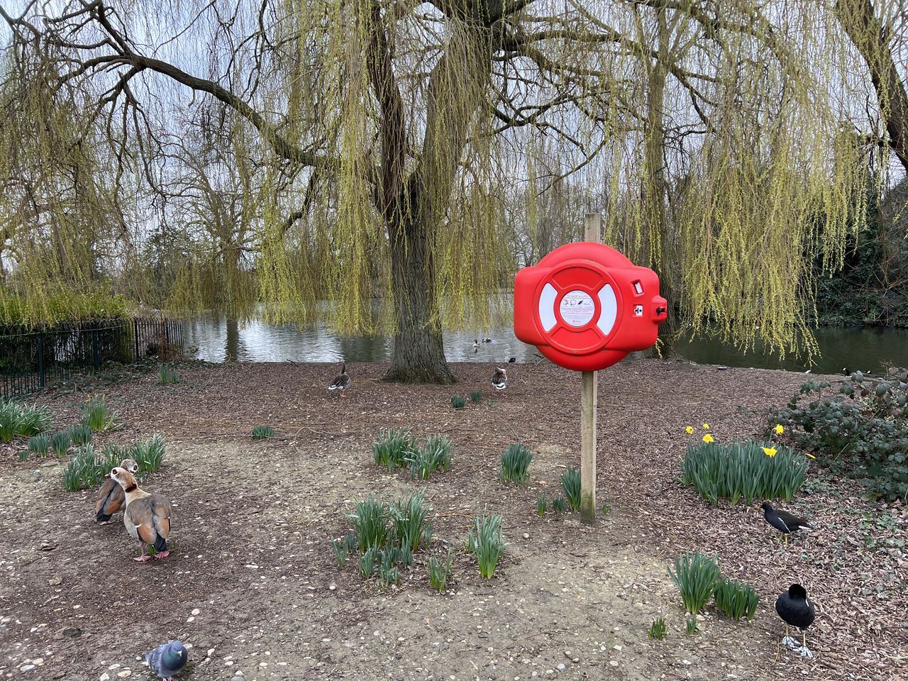iPhone 14 Pro sample images