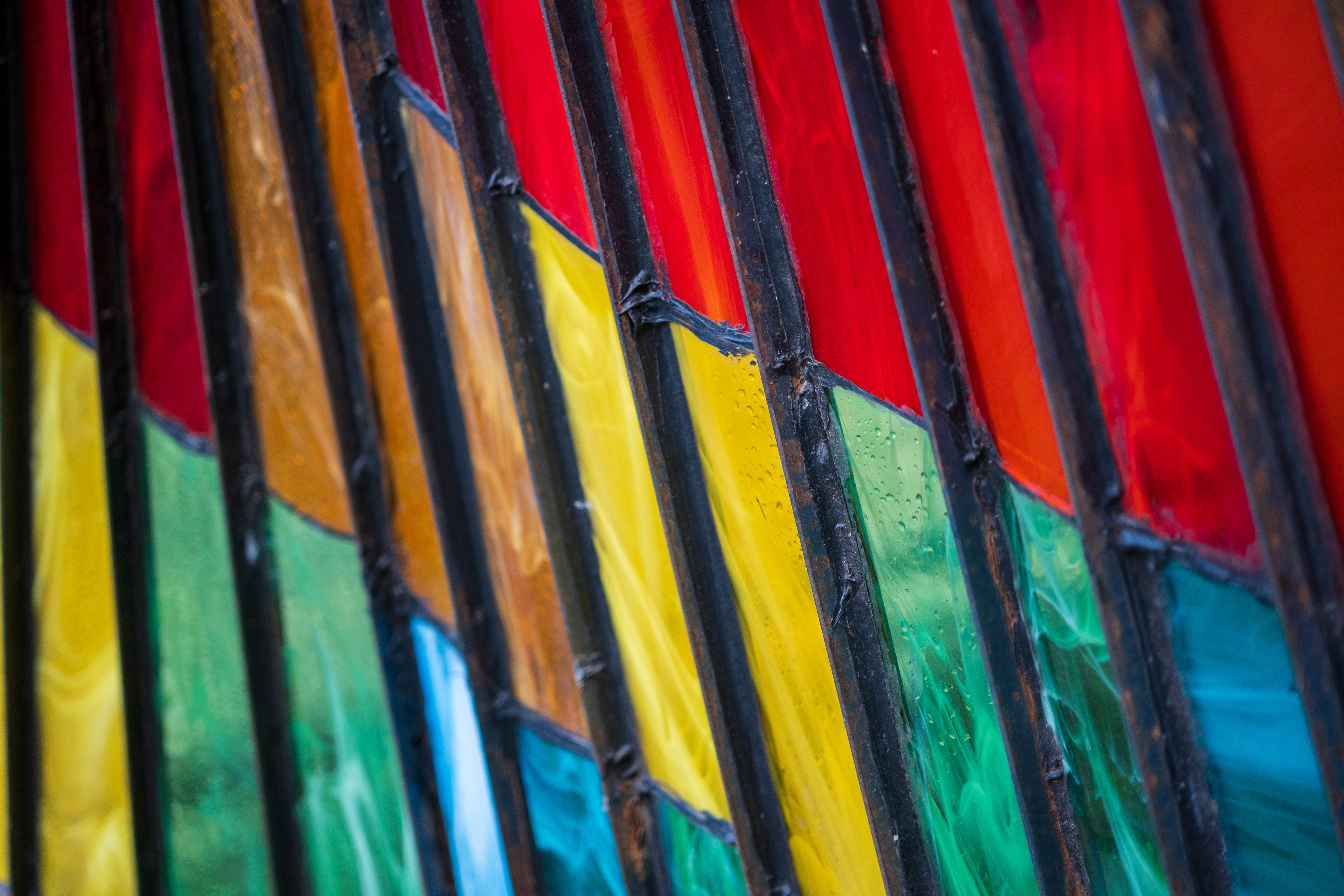 Nikon Z DX MC 35mm f/1.7 example shot