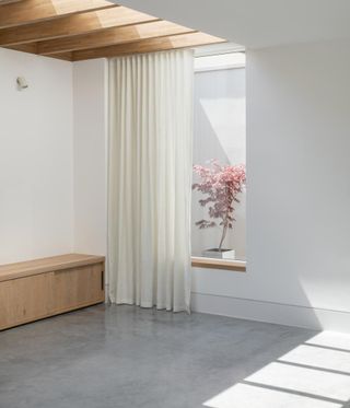 Internal courtyard in Oliver Leech Architects' Epsom house extension