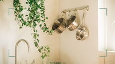 a row of stainless steel pans hanging up in a kitchen, with greenery hanging from ceiling, to illustrate how to clean stainless steel pans