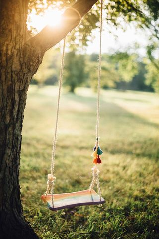 How to hang a tree swing: advice for safely securing a swing from a branch