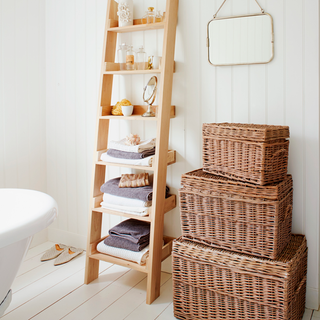 bathroom with white walls and ladder shelf