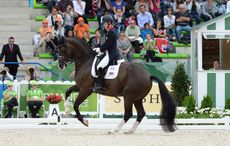DUJARDIN_WEG14PN_30374.jpg