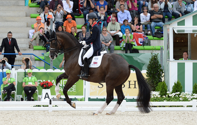 DUJARDIN_WEG14PN_30374.jpg