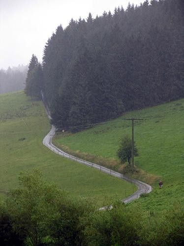The Swartzwald (Black Forest)