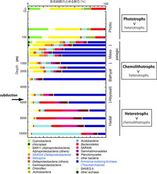 Microbial diversity varies with depth.