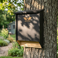 Bat box