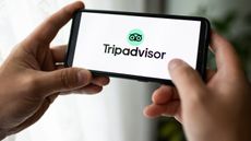 TripAdvisor logo on a phone