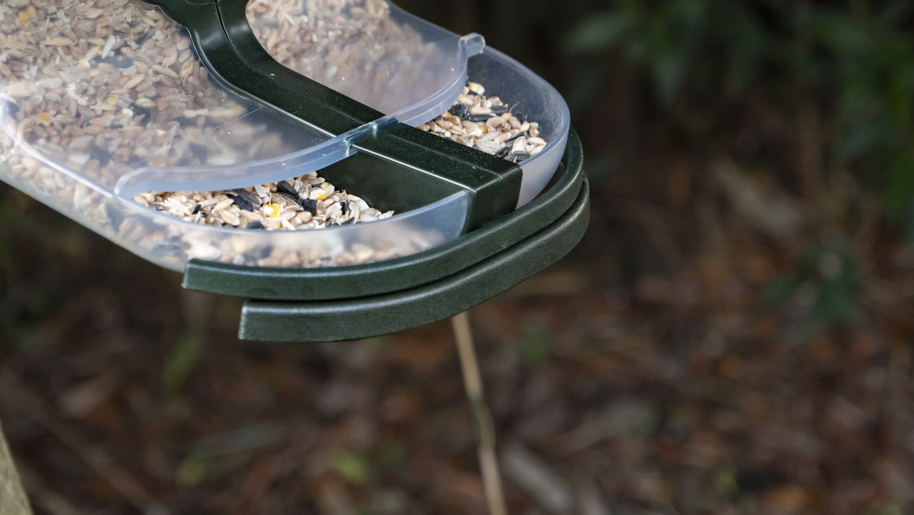 FeatherSnap Bird Feeder camera strapped around a tree with bamboo backdrop