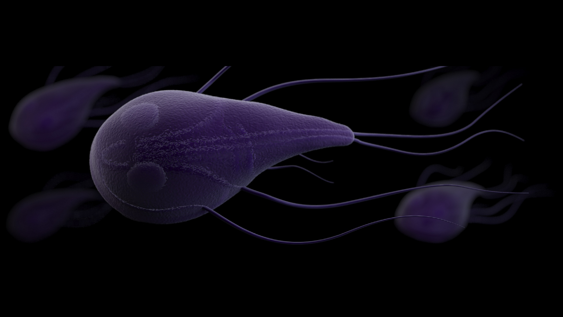 This illustration depicts a three-dimensional (3D), computer-generated image of a grouping of Giardia lamblia parasites.