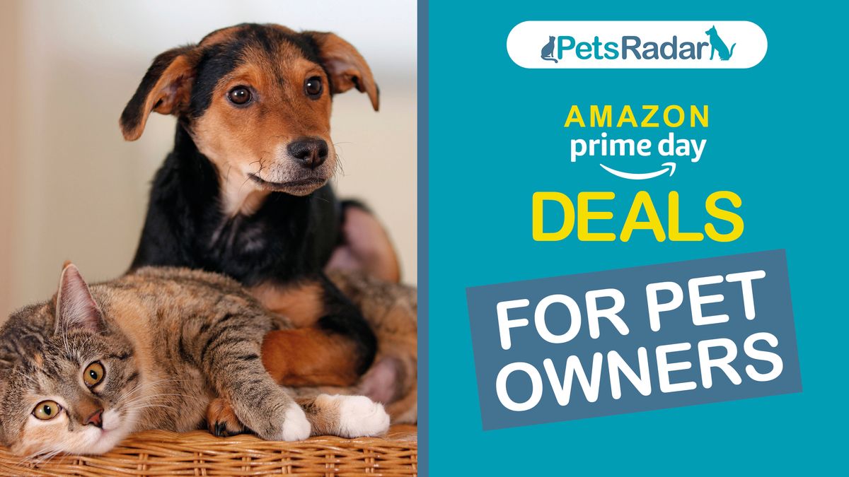 Dog and cat laying together with a PetsRadar Amazon Prime Day deals for pet owners graphic