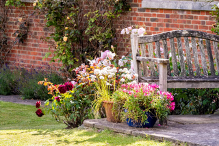 bench in garden