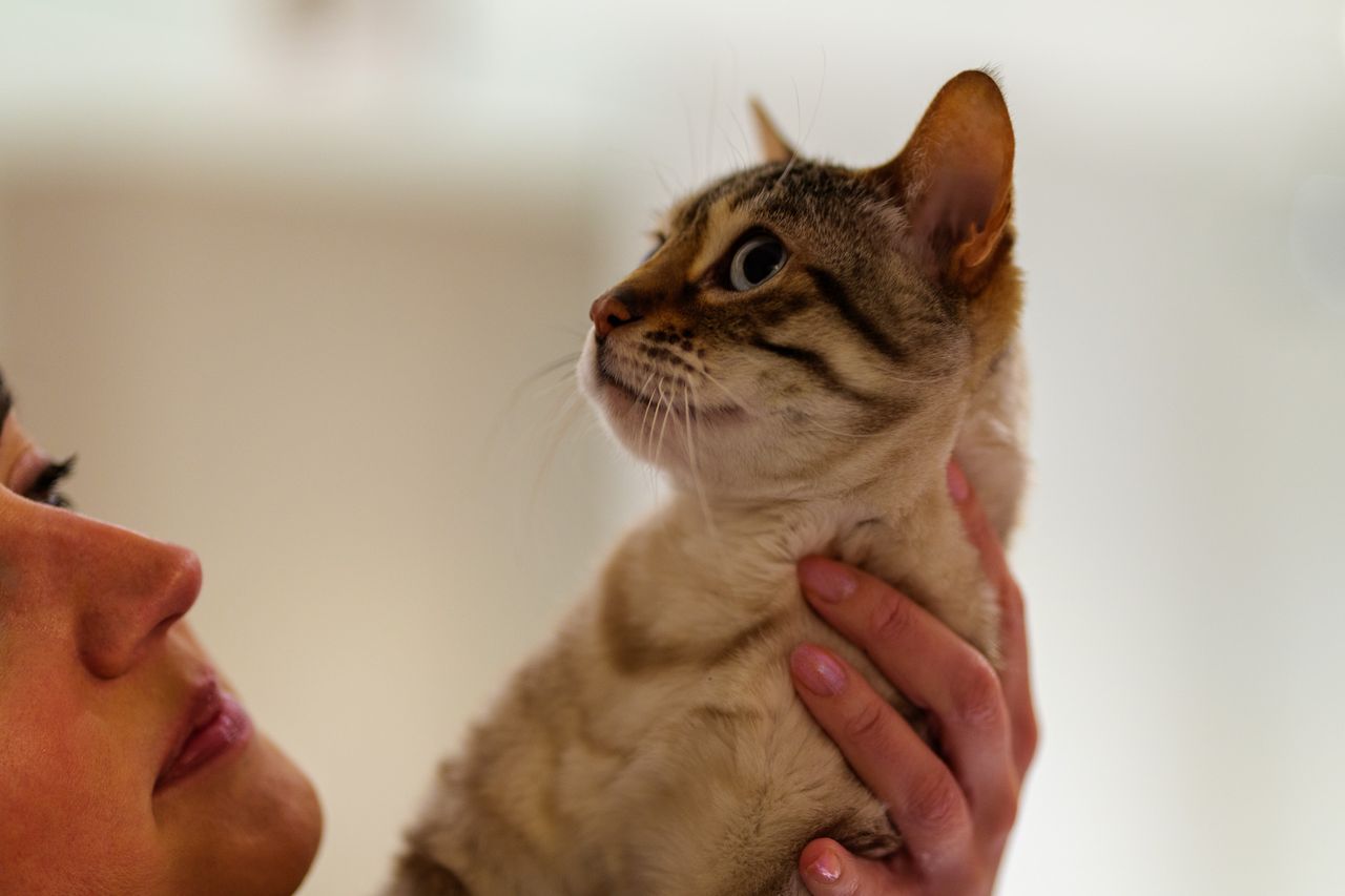 Panasonic Lumix S1R II sample photograph