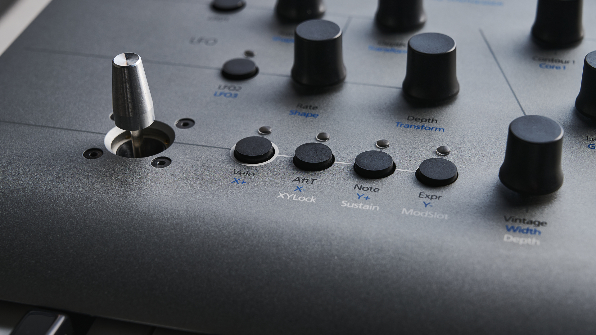 Modal Electronics Carbon8x
