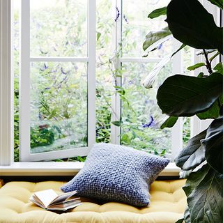 window seat with glass window and potted plant