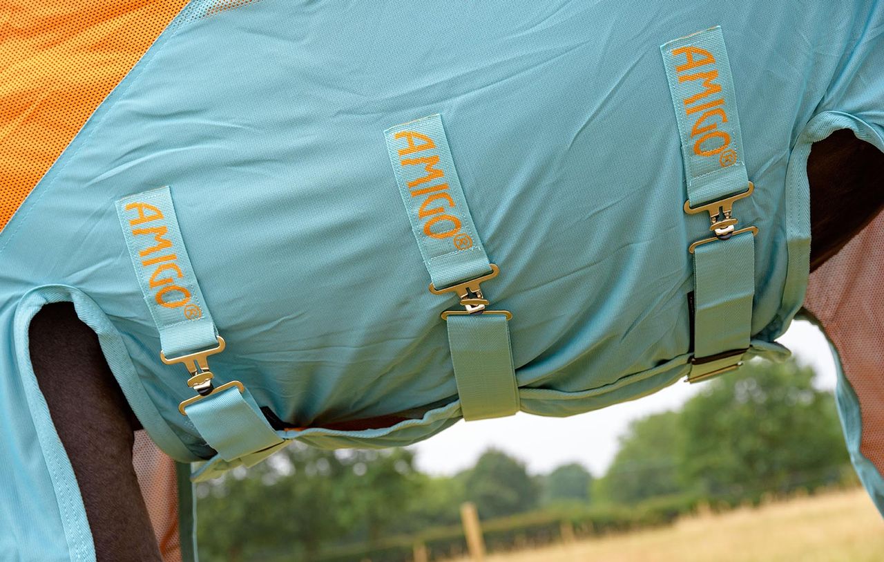Amigo Vamoose Evolution fly rug review