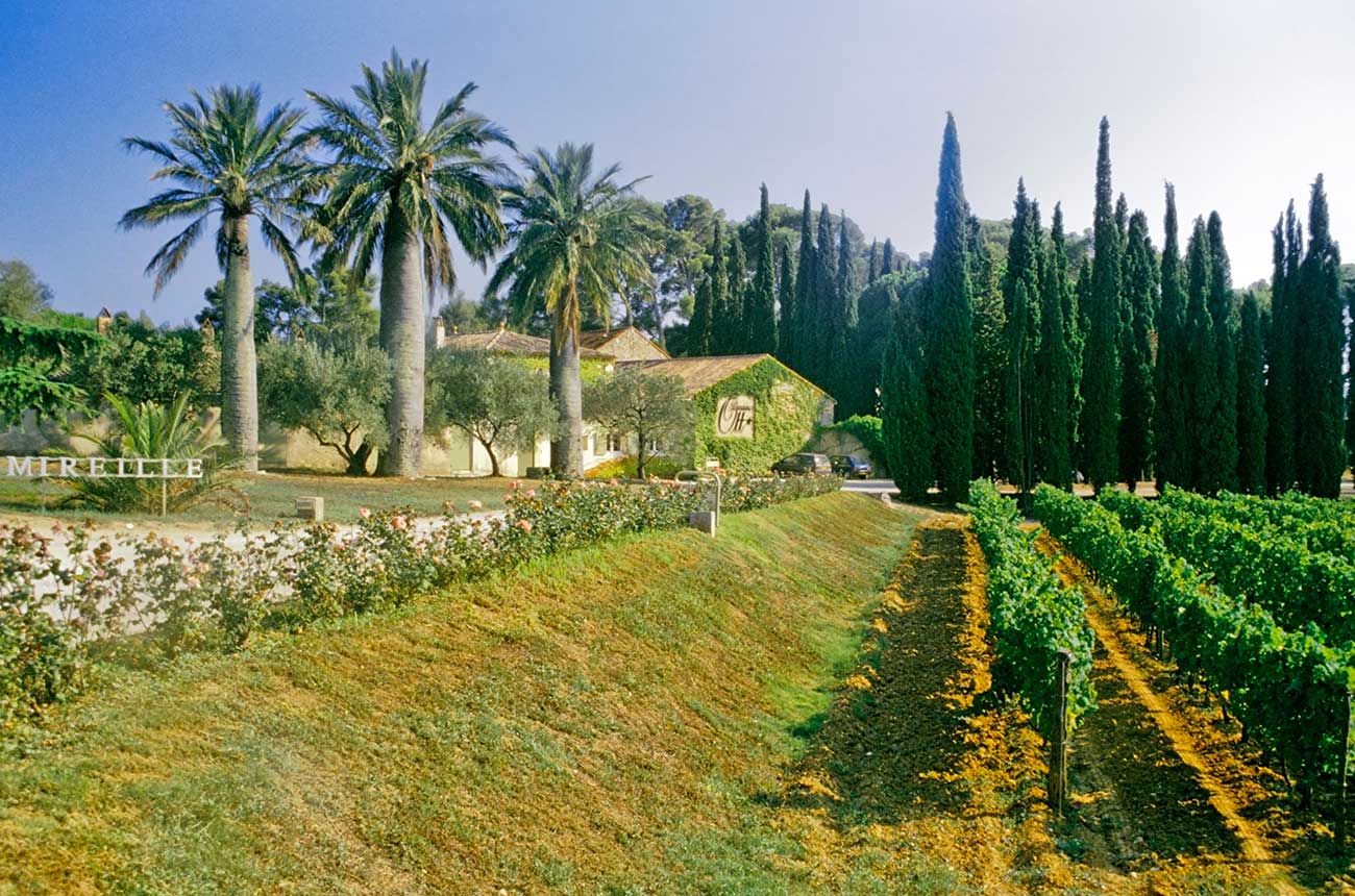 Clos Mireille, owned by Domaines Ott in Provence