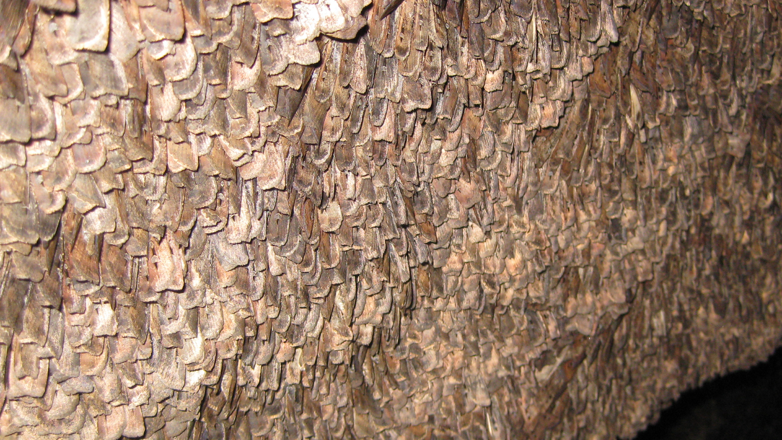 A large brown shape against a dark background