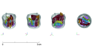 A series of images from neutron CT scan with different parts of a lock mechanism colored in separate colors.