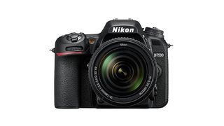 Best cheap camera: Nikon D7500