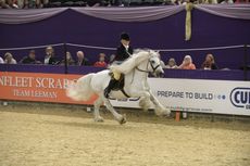 HorseNo615_HOYS13pn3657-e1548239565113.jpg