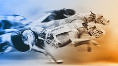 Illustration of greyhounds wearing AI company logos racing