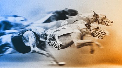Illustration of greyhounds wearing AI company logos racing
