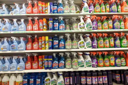 Cleaning Supplies Are a Bargain at Dollar Tree