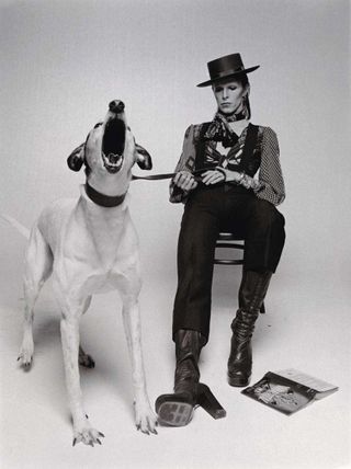 David Bowie sitting on a chair, holding a barking dog on a leash