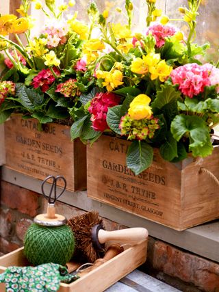 upcycled boxes for planters