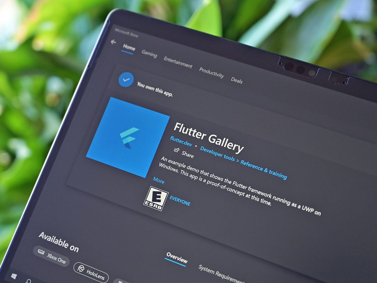 Flutter Logo Store Lede