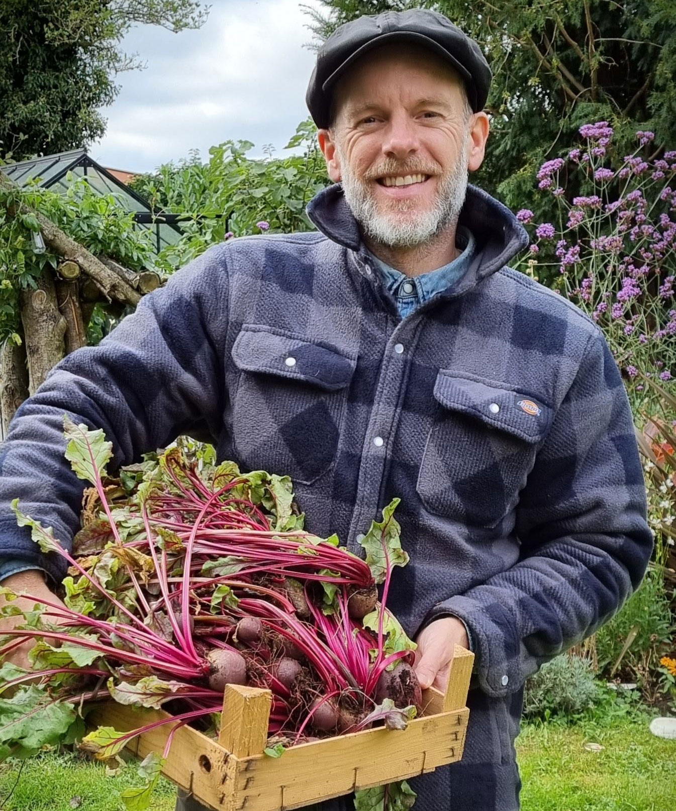 How to grow beets: for a healthy harvest