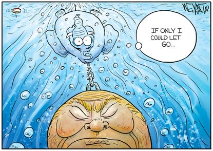 Political Cartoon