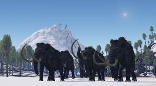 A herd of Woolly Mammoths migrate to a warmer climate in the Pleistocene Age.