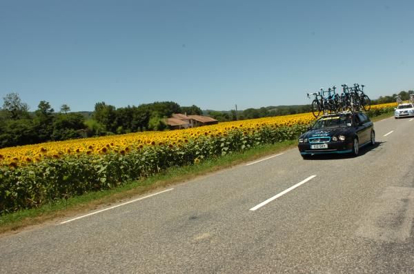 The caravan passed through sunflower country today