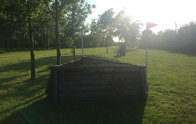 Fence 17