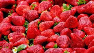 Foods that help hay fever: berries