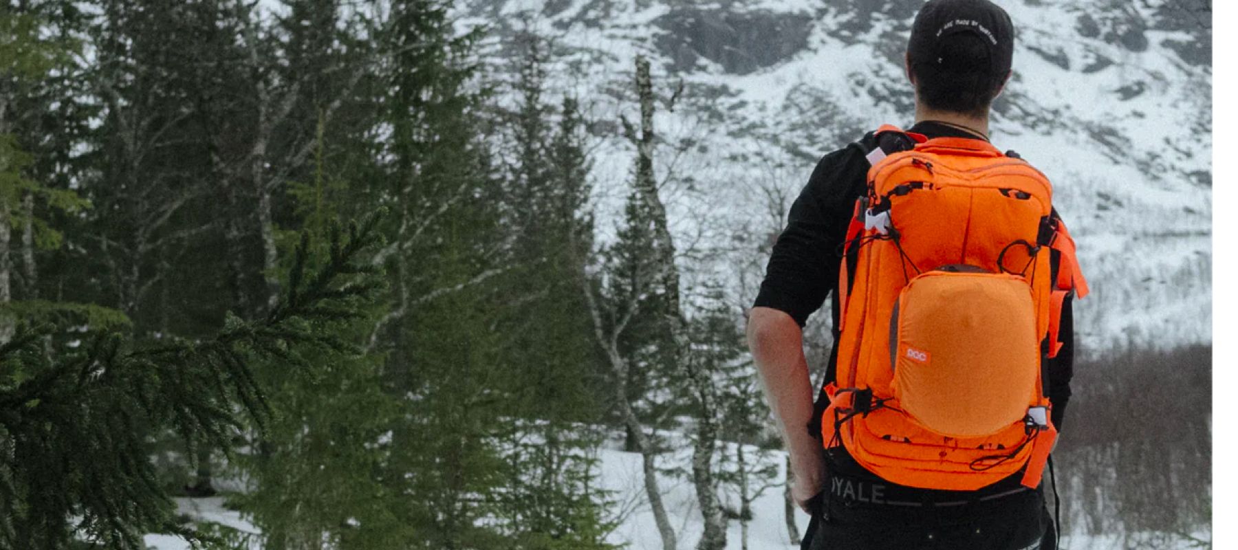 WRyHZFxUeeEK4beVCVpmBP-1800-80