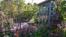planting design with patio and garden shed