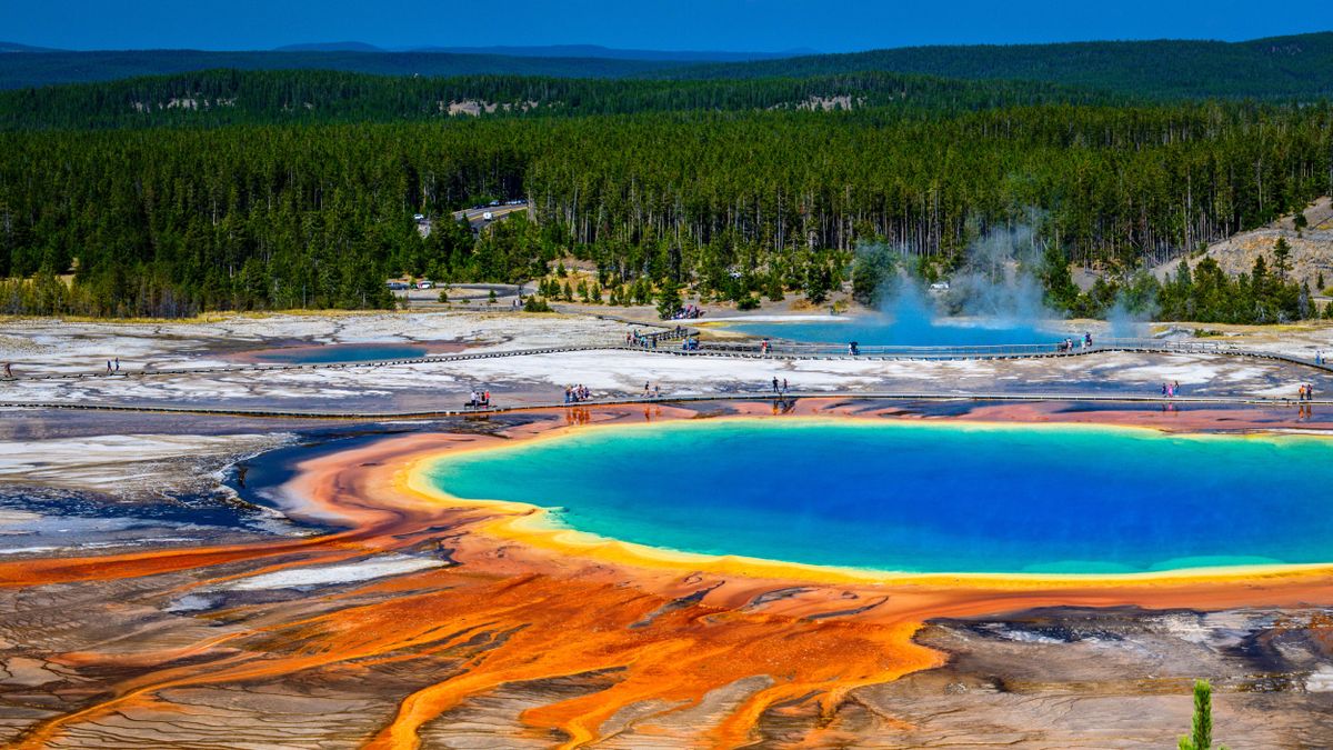 Yet another Yellowstone tourist ignores safety warnings and struts ...