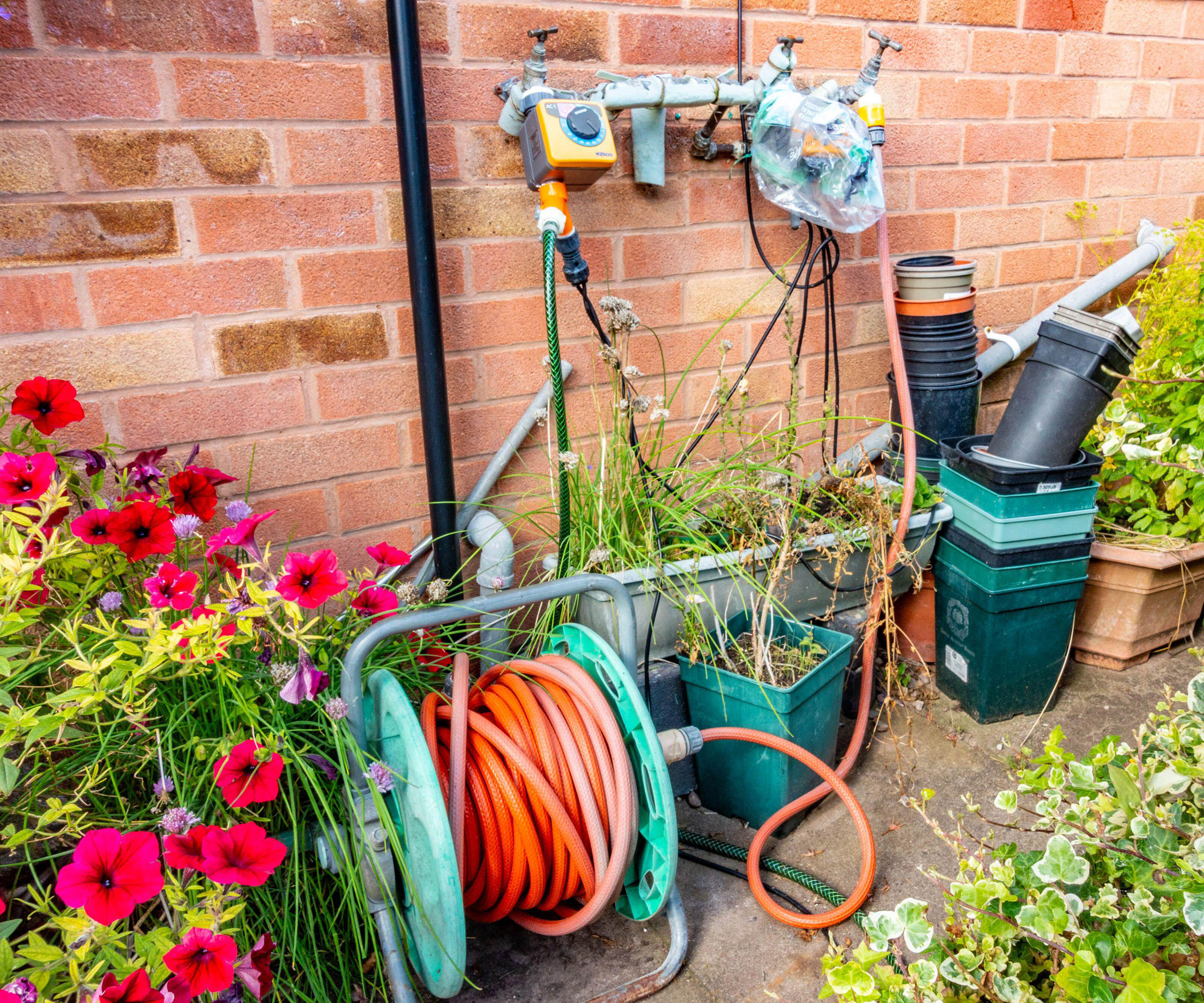 A hosepipe connected to a garden tap with a water timer