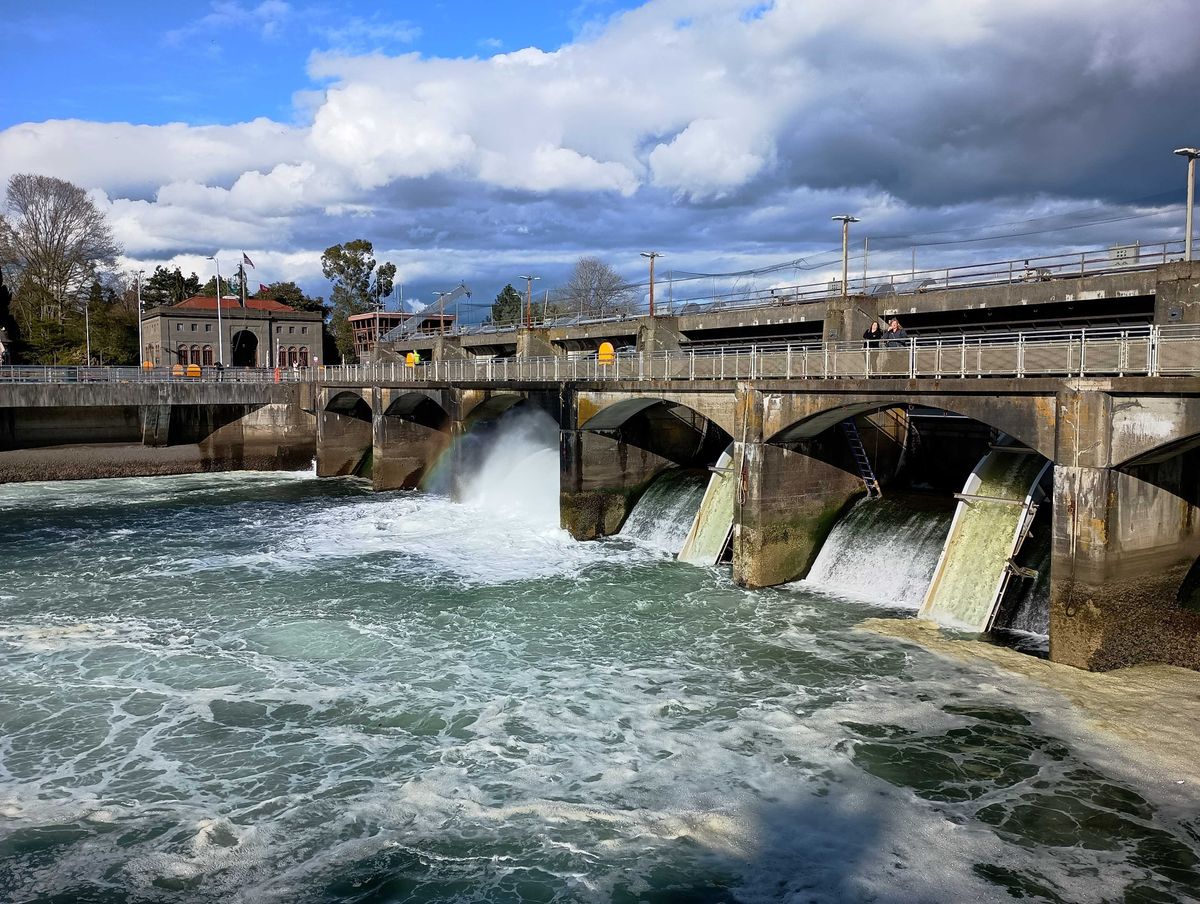 Water pouring out of locks