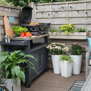 small outdoor kitchen idea with BBQ in corner, planters, festoon lights, wall mounted planter
